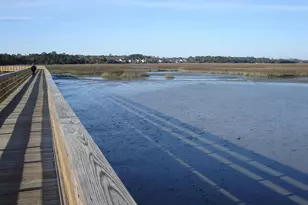 207 Buckwood Dr, Myrtle Beach, SC 29588 - Photo 27