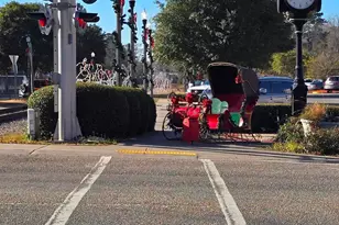 3525 Hardee Ave, Loris, SC 29569 - Photo 37