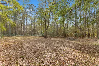 567 Dog Bluff Rd., Galivants Ferry, SC 29544 - Photo 31