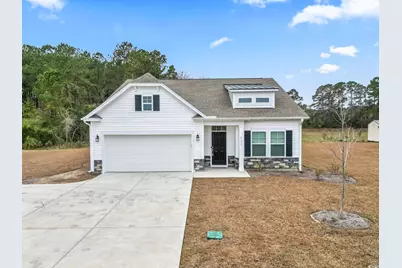 4115 Highway 19, Conway, SC 29526 - Photo 1