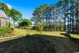 1131 Bear Lake Dr, Longs, SC 29568 - Photo 33