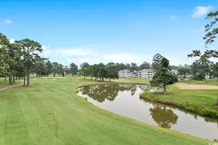 4691 Wild Iris Dr, Myrtle Beach, SC 29577 - Photo 37