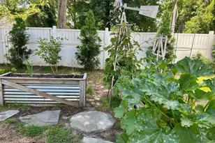 1137 Palmetto St, Georgetown, SC 29440 - Photo 35