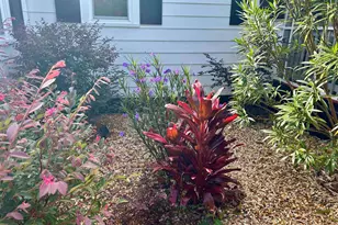 1137 Palmetto St, Georgetown, SC 29440 - Photo 37