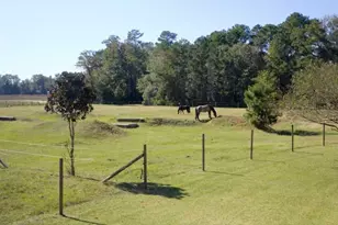 2725 Southfork Rd, Green Sea, SC 29545 - Photo 9