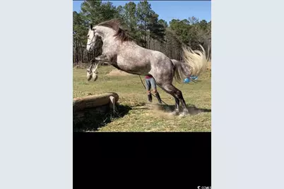 2725 Southfork Rd., Green Sea, SC 29545 - Photo 25