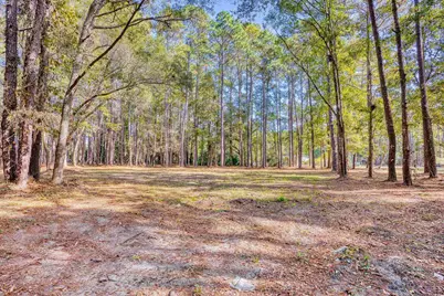 4250 Lilac Rd., Myrtle Beach, SC 29588 - Photo 21