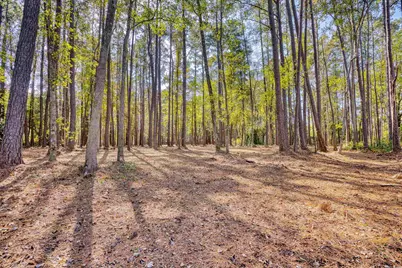 4250 Lilac Rd., Myrtle Beach, SC 29588 - Photo 23