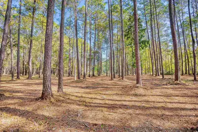 4250 Lilac Rd., Myrtle Beach, SC 29588 - Photo 15