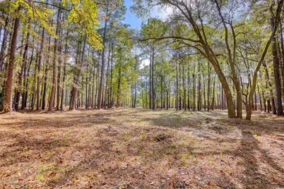 4250 Lilac Rd., Myrtle Beach, SC 29588 - Photo 25