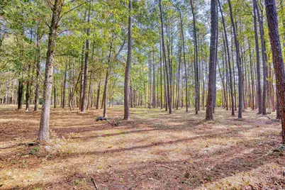 4250 Lilac Rd., Myrtle Beach, SC 29588 - Photo 17