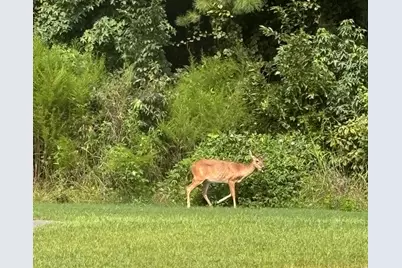 2475 Copper Creek Loop, Longs, SC 29568 - Photo 39