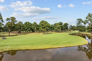 4627 Wild Iris Dr, Myrtle Beach, SC 29577 - Photo 3