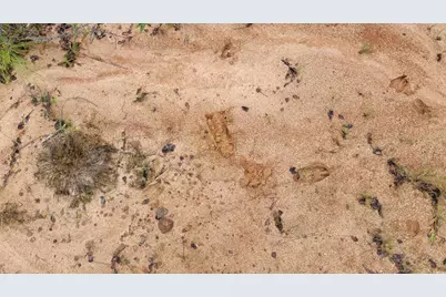 Tbd Highway 34, Bishopville, SC 29010 - Photo 23