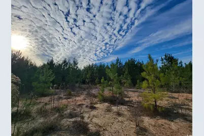 Tbd Highway 34, Bishopville, SC 29010 - Photo 25
