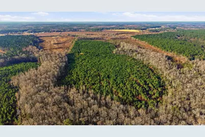 Tbd Highway 34, Bishopville, SC 29010 - Photo 7