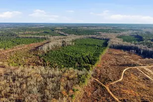 Tbd Hwy 34, Bishopville, SC 29010 - Photo 1