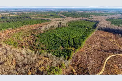 Tbd Highway 34, Bishopville, SC 29010 - Photo 15