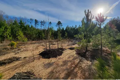 Tbd Highway 34, Bishopville, SC 29010 - Photo 33