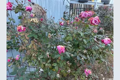 1009 Seaside Dr., North Myrtle Beach, SC 29582 - Photo 31