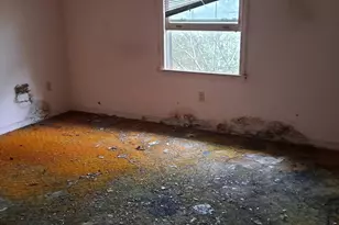 2416 Prince St, Georgetown, SC 29440 - Photo 5