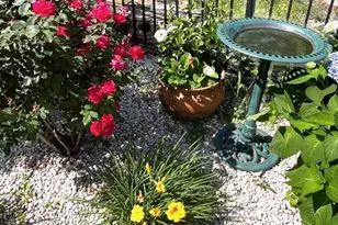 208 Myrtle Grande Dr, Conway, SC 29526 - Photo 35