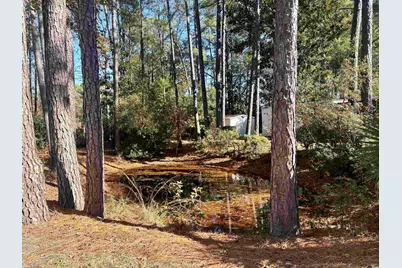 786 Richmond Trail, Murrells Inlet, SC 29576 - Photo 3