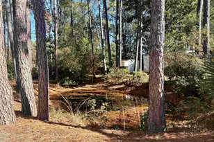 786 Richmond Trail, Murrells Inlet, SC 29576 - Photo 3