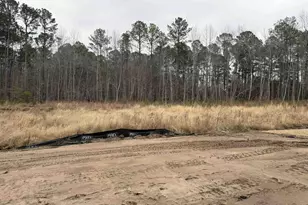 3032 Gadwall Dr, Aynor, SC 29511 - Photo 19