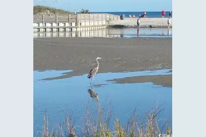 101 Ocean Creek Dr. #GG-5, Myrtle Beach, SC 29572 - Photo 31