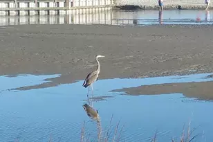 101 Ocean Creek Blvd, Myrtle Beach, SC 29572 - Photo 31