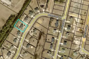 2156 Briarcliff Dr, Darlington, SC 29532 - Photo 39