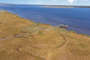 663 Millbrook Rd, Georgetown, SC 29440 - Photo 17