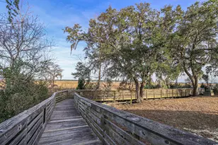 702 Daisy Bank Cir, Georgetown, SC 29440 - Photo 5