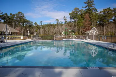 334 Splendor Circle, Murrells Inlet, SC 29576 - Photo 37