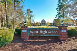 208 Baylee Cir, Galivants Ferry, SC 29544 - Photo 27