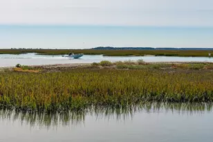 184 Dagger Ct, Myrtle Beach, SC 29588 - Photo 31