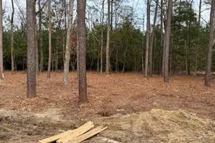 1082 Rocky Ln, Conway, SC 29526 - Photo 5