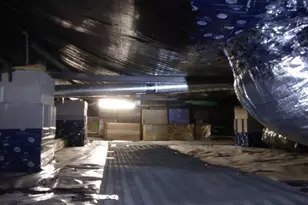 2064 Eastlynn Dr, Conway, SC 29526 - Photo 29