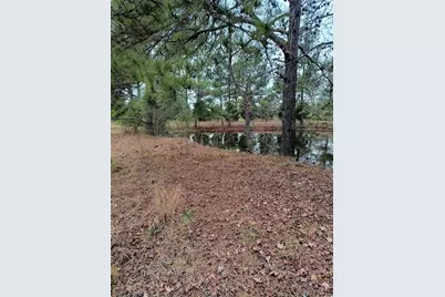 2701 Wise Rd., Conway, SC 29526 - Photo 3