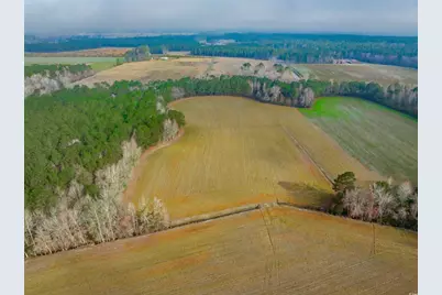 4705 Carolina Rd., Green Sea, SC 29545 - Photo 3