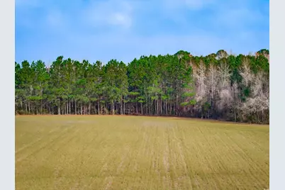 4705 Carolina Rd., Green Sea, SC 29545 - Photo 5