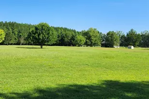 33332 County Line Rd, Hemingway, SC 29554 - Photo 5