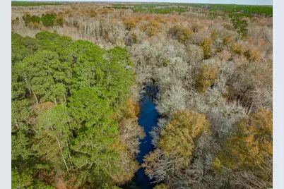 McKays Bridge Rd., Dillon, SC 29536 - Photo 11