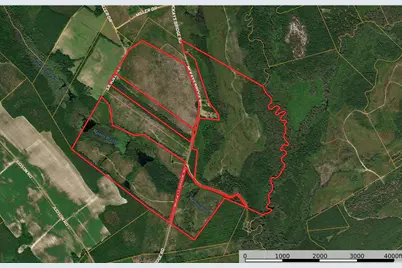 McKays Bridge Rd., Dillon, SC 29536 - Photo 1