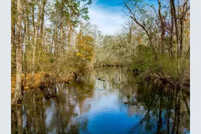 McKays Bridge Rd., Dillon, SC 29536 - Photo 3