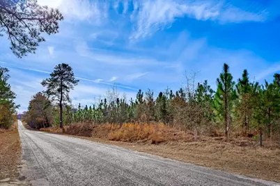 McKays Bridge Rd., Dillon, SC 29536 - Photo 13