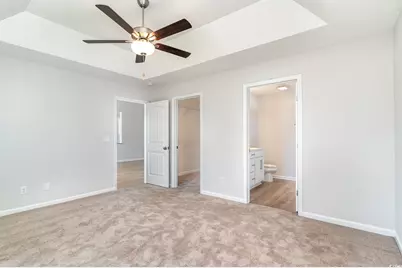 330 Barn Owl Way, Conway, SC 29527 - Photo 13