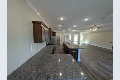 Tbb21 Mineral Springs Rd., Conway, SC 29527 - Photo 7