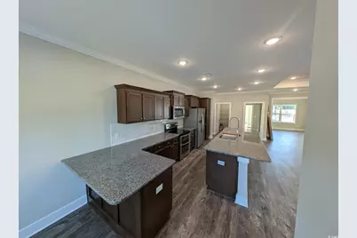 Tbb21 Mineral Springs Rd., Conway, SC 29527 - Photo 9